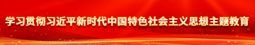 啊啊啊不要操我拉的视频学习贯彻习近平新时代中国特色社会主义思想主题教育