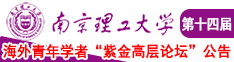 嗯啊～宝宝你这么骚视频网站南京理工大学第十四届海外青年学者紫金论坛诚邀海内外英才！